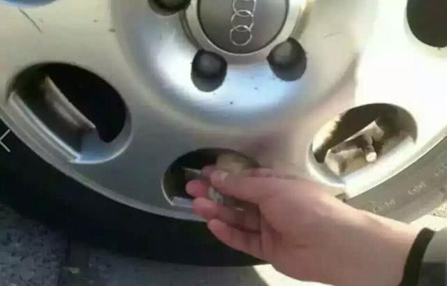 爱宠交友圈■天越来越冷了，开车前检查车下有没有猫或狗不要伤害