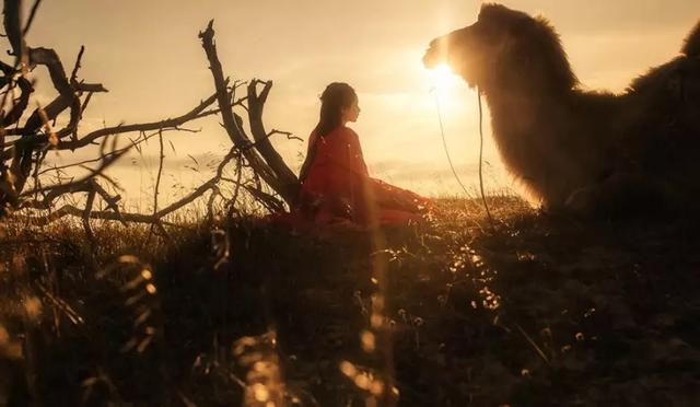 浅浅情感说：佛说：属于你的，永远都在，佛说：世间一切，皆有因果，