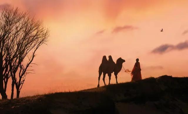 浅浅情感说：佛说：属于你的，永远都在，佛说：世间一切，皆有因果，