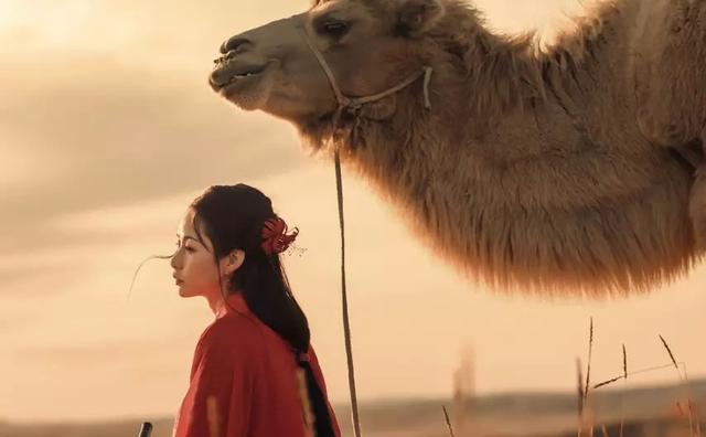 浅浅情感说：佛说：属于你的，永远都在，佛说：世间一切，皆有因果，