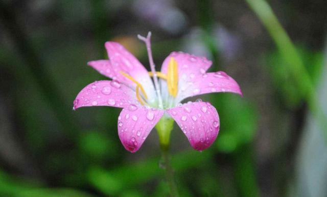 浅浅情感说：做人，最重要的就是人品