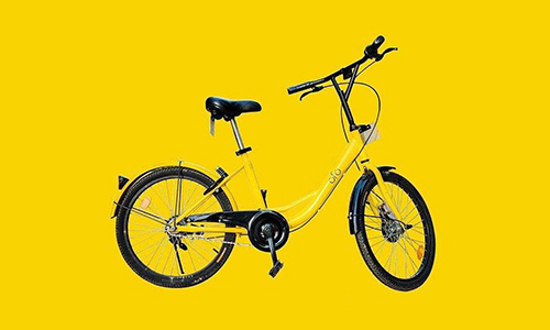 【小服众创】养鸡专业户20年后成首富，四兄弟用1000元创饲料帝国，他们咋做到