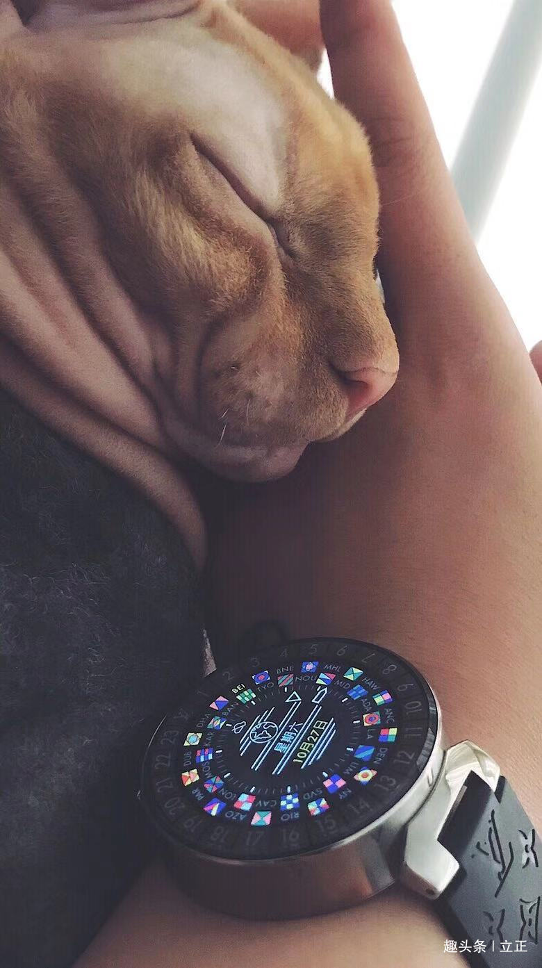 「立正」人总是在接近幸福时倍感幸福在幸福进行时却患得患失