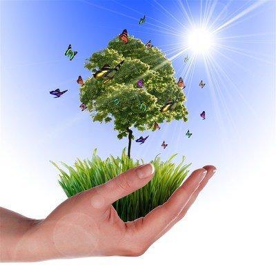 「泡泡和冒冒」头条上的婆婆们，到底得罪了谁？