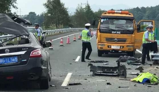 「阿虎汽车」高速开车，前方突然窜出一头“猪”，躲还是撞？交警给出标准答案