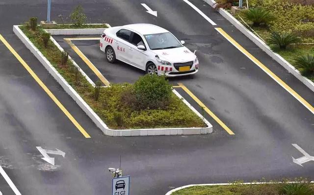 [蛋蛋懂车]一本C1驾照价值多少钱？看到这个数，驾照拥有者：赚了