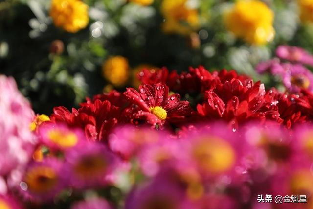 柠檬美文@遇到这样的人，请深交一辈子！