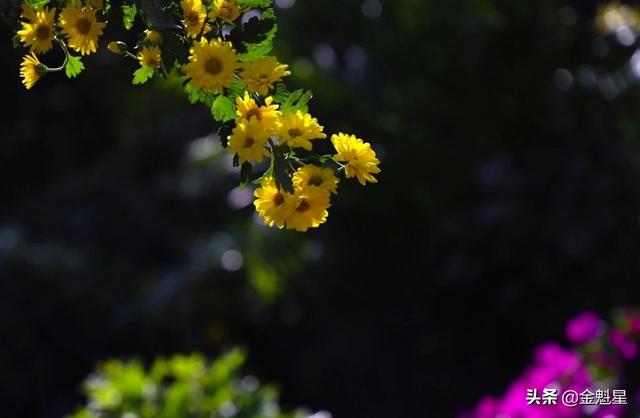 柠檬美文@遇到这样的人，请深交一辈子！