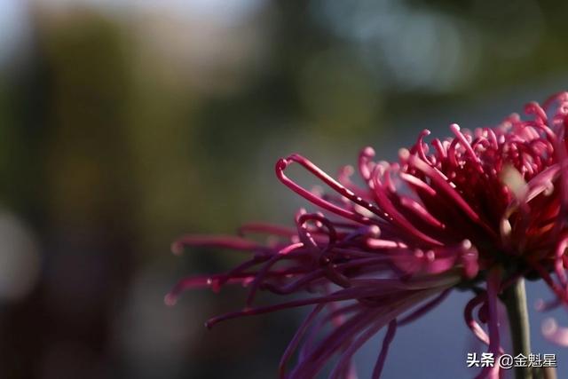柠檬美文@遇到这样的人，请深交一辈子！