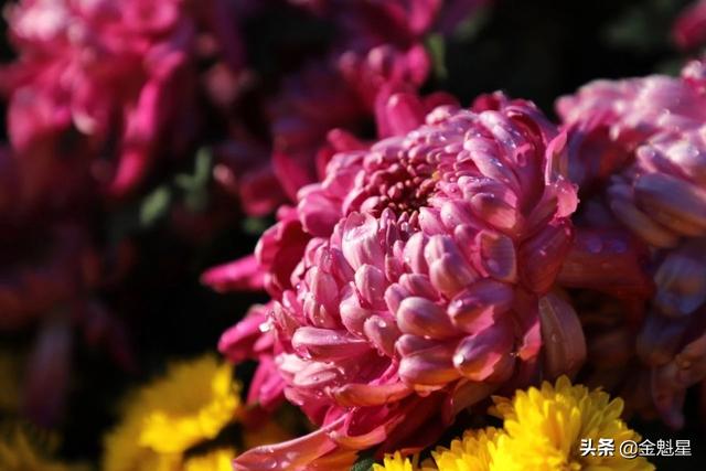 柠檬美文@遇到这样的人，请深交一辈子！