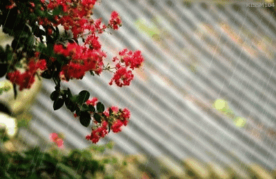 「亮丽音乐相册」我不是傻, 只是不想说