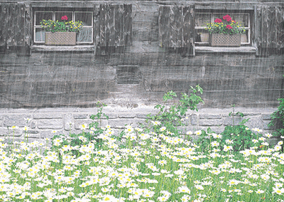 「亮丽音乐相册」我不是傻, 只是不想说