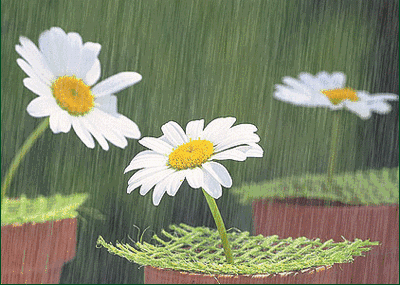 「亮丽音乐相册」我不是傻, 只是不想说