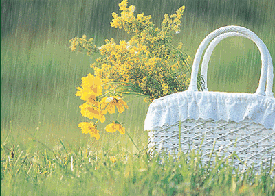 「亮丽音乐相册」我不是傻, 只是不想说