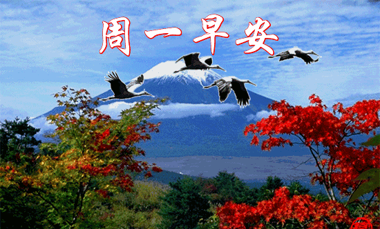 #文思泉涌#早上好，今天星期一，送你最美丽的祝福，愿你幸福快乐！