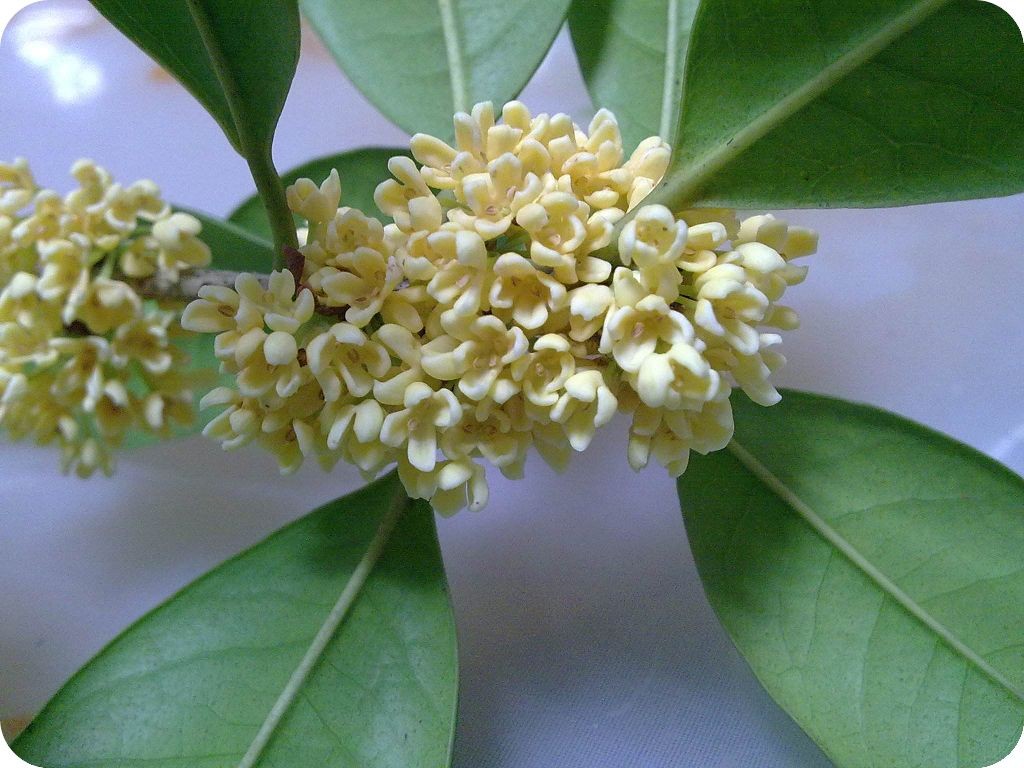 「天天励志正能量」你就是自己的救世主，是否快乐全在于你