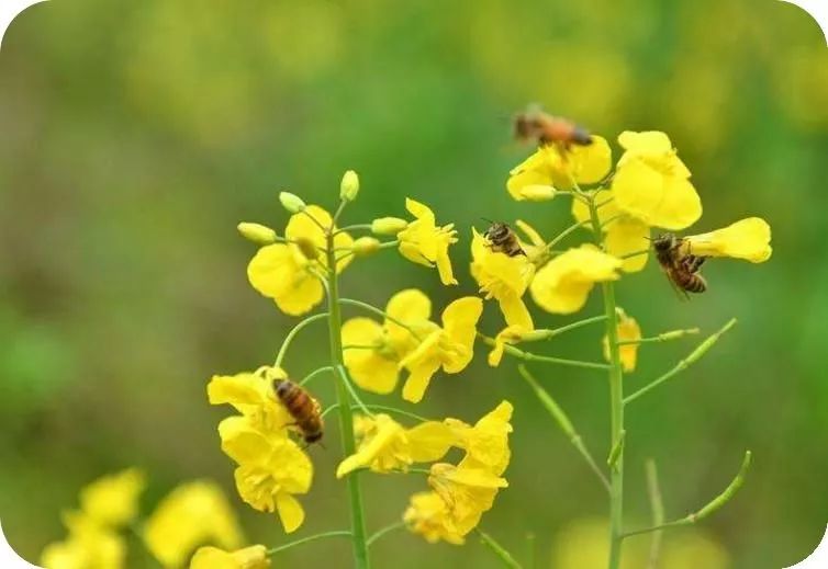 天天励志正能量@十一月，致自己，一切都挺好
