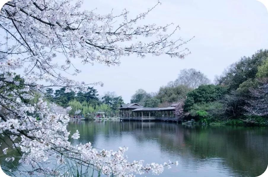 天天励志正能量@十一月，致自己，一切都挺好