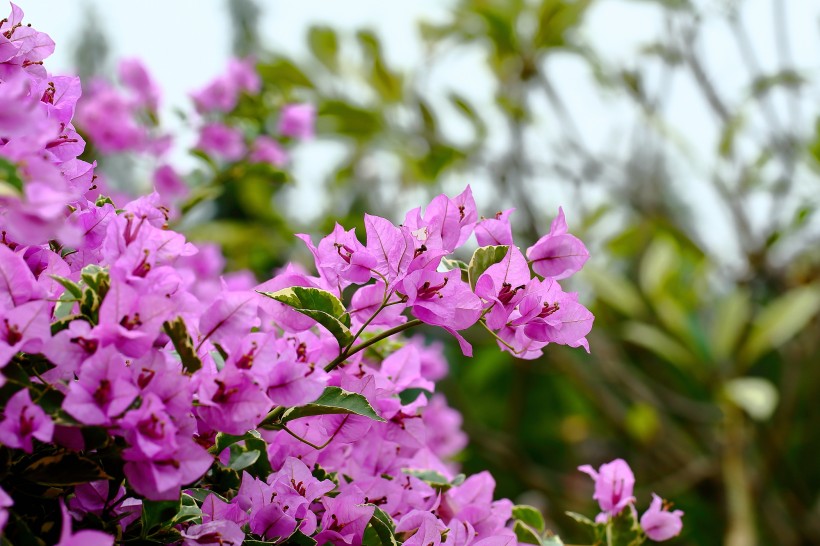 灵感的科技@天生是“直男”的三生肖男，经常把老婆气上天，从来不主动认错