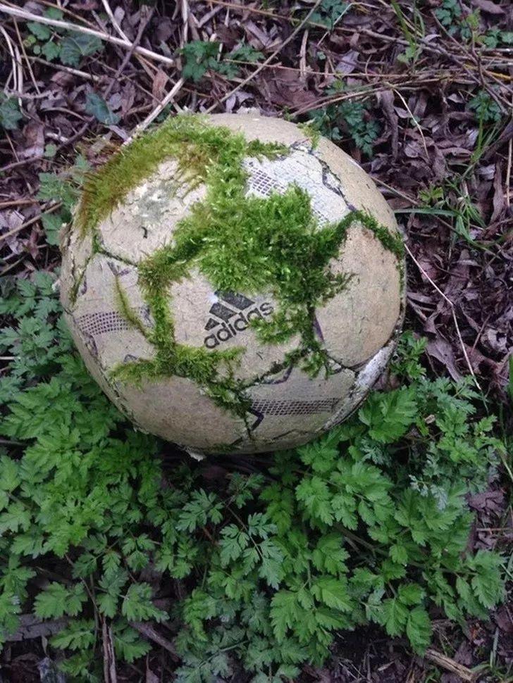 「史夫子说」一组照片刷爆朋友圈：那些坚不可摧的，最后都敌不过时间