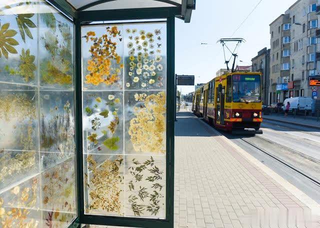 异想天开：波兰一大学生将公交站装成了一个鲜花盛开的画廊