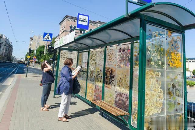 异想天开：波兰一大学生将公交站装成了一个鲜花盛开的画廊