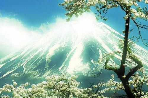 柠檬美文@人算的精，不如天算的准