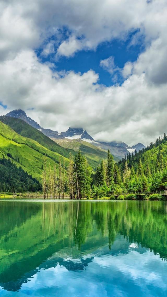 柠檬美文：心灵四种境界决定品格和命运！