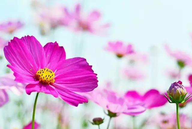 #全球时尚生活头条#一辈子很短，请为自己活