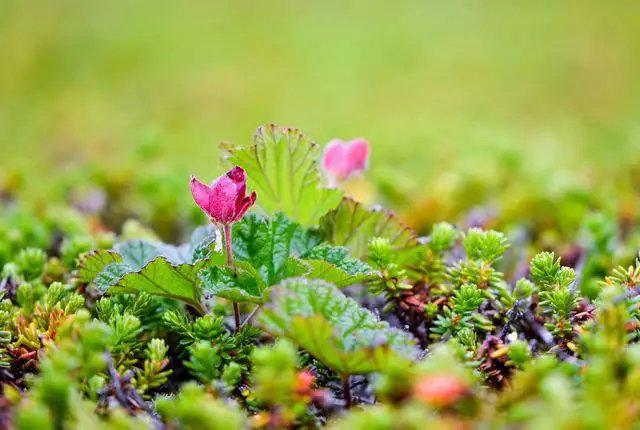 #全球时尚生活头条#一辈子很短，请为自己活