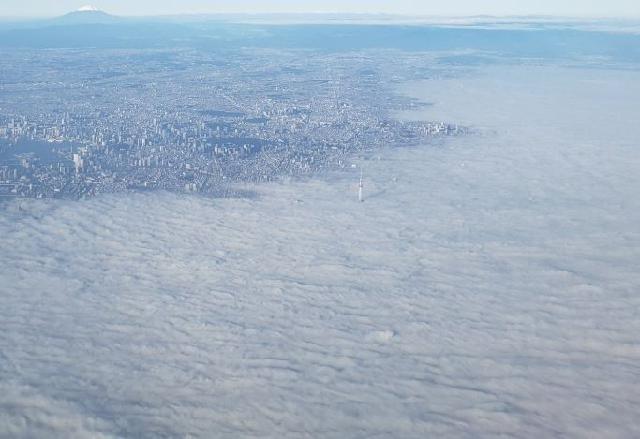 难得一见！东京遭遇罕见浓雾笼罩，仅晴空塔矗立云海当中！