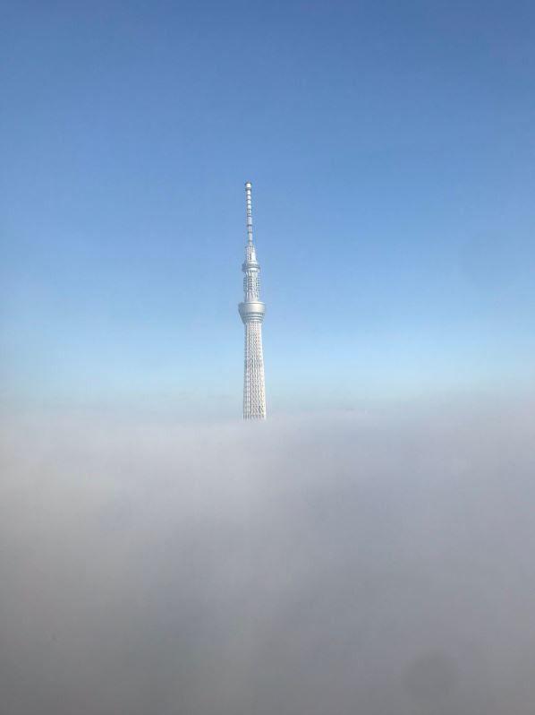 难得一见！东京遭遇罕见浓雾笼罩，仅晴空塔矗立云海当中！