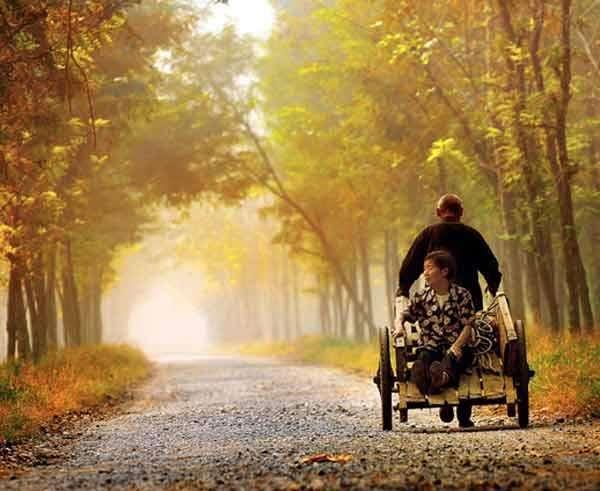 「好文章阅读」看完让人相信爱情的爱情故事