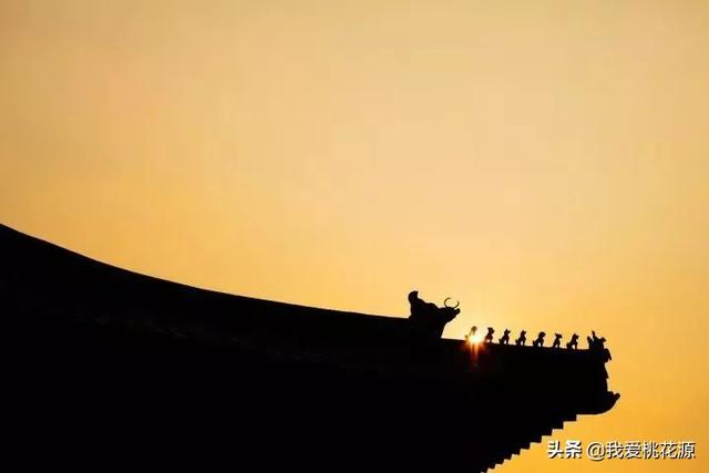 「浅浅情感说」中国的生存法则变了！你再不懂就彻底晚了