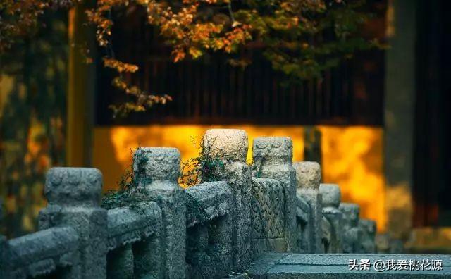 「浅浅情感说」中国的生存法则变了！你再不懂就彻底晚了