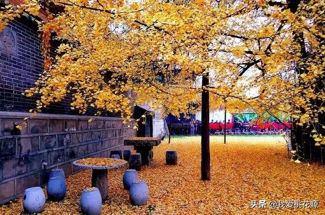 「浅浅情感说」中国的生存法则变了！你再不懂就彻底晚了