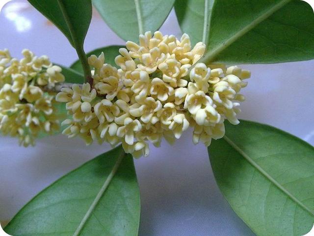 小书仲：让自己的人生，开心度过每一天