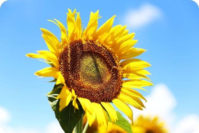 小书仲：让自己的人生，开心度过每一天