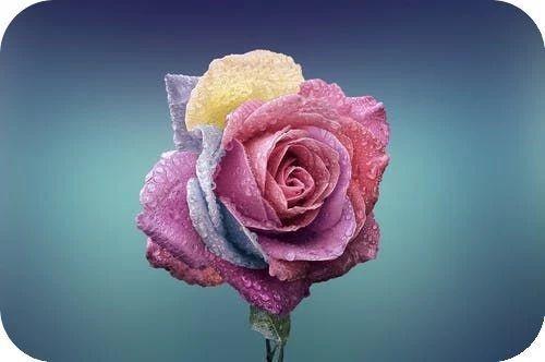 小书仲：让自己的人生，开心度过每一天