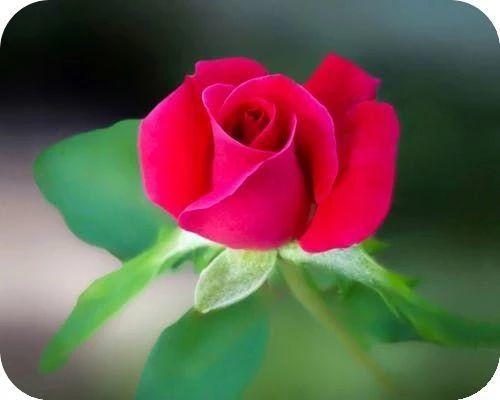 小书仲：让自己的人生，开心度过每一天