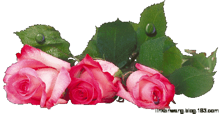 浅浅情感说■罕见好文！1秒打开，受益一辈子！中老年朋友必读