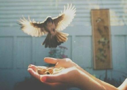 「文娟滴励志语日结」做人，不要看不起自己！