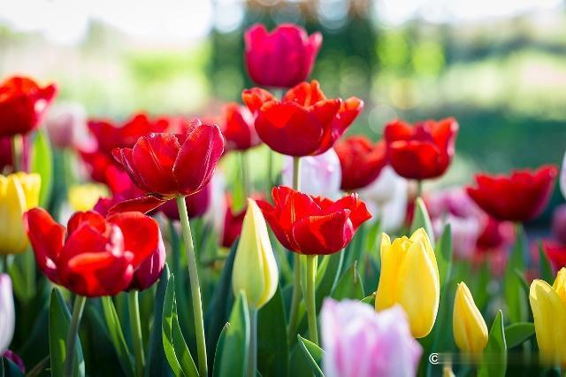 [励志的娱乐]人啊，一旦过了50岁，就别自作多情了