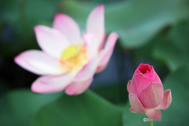 [励志的娱乐]人啊，一旦过了50岁，就别自作多情了