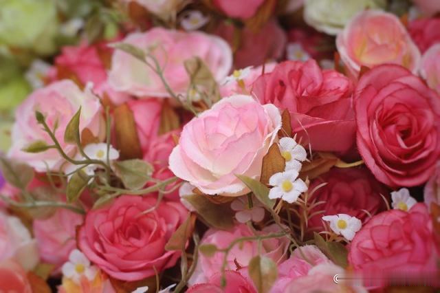 [励志的娱乐]人啊，一旦过了50岁，就别自作多情了