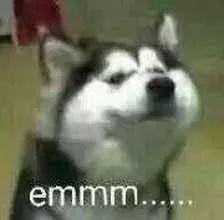 蛋蛋懂车@想拍照举报交通违法行为？公安部拟规定：可作为处罚证据