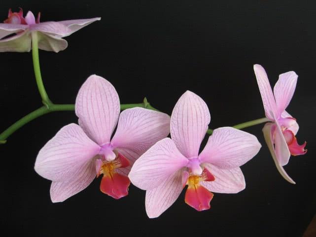 芨芨草01@和“三观不同”的人一起生活累吗？那要看你怎么处理，我有好办法