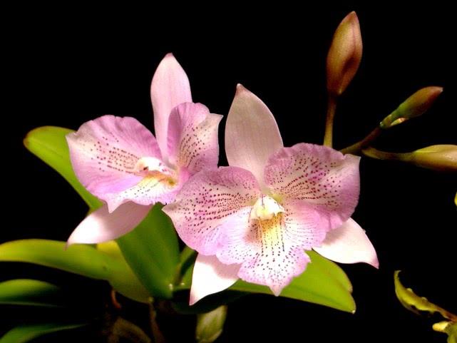 芨芨草01@和“三观不同”的人一起生活累吗？那要看你怎么处理，我有好办法