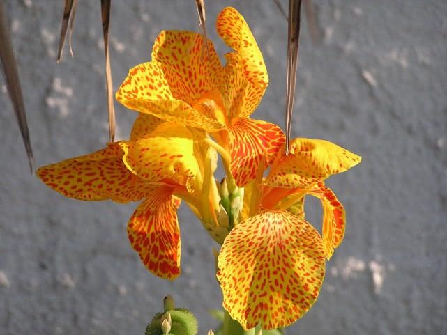 芨芨草01@和“三观不同”的人一起生活累吗？那要看你怎么处理，我有好办法