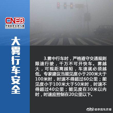 「光明网」今早开车你遇到大雾了不？应该怎么开车，看看